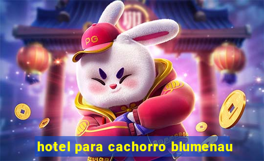 hotel para cachorro blumenau